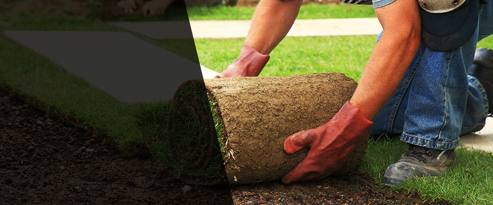 Yelm Landscapers